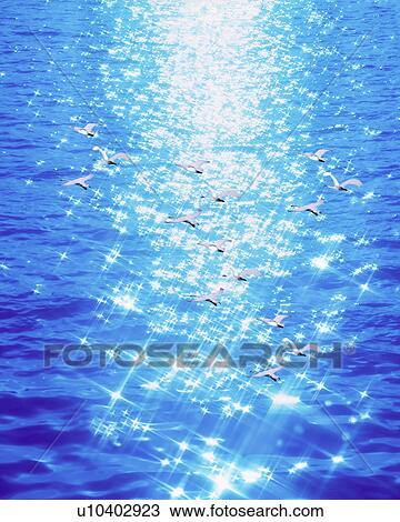 View of birds flying over water View Large Photo Image Stock Image - View of birds flying over water. Fotosearch