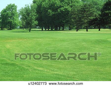 Landscape with trees View Large Photo Image Stock Image - Landscape with trees. Fotosearch