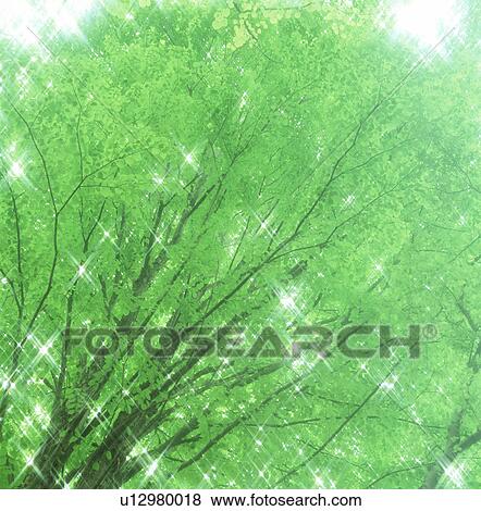 Low angle view of a tree View Large Photo Image Stock Photo - Low angle view of a tree. Fotosearch