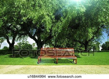 Scenic view of a bench in a park View Large Photo Image Picture - Scenic view of a bench in a park. Fotosearch