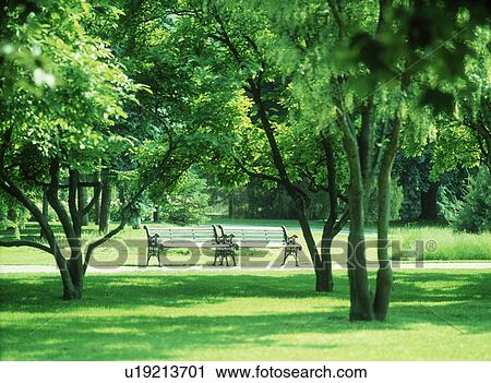 Scenic view of park benches along a path View Large Photo Image Stock Image - Scenic view of park benches along a path. Fotosearch