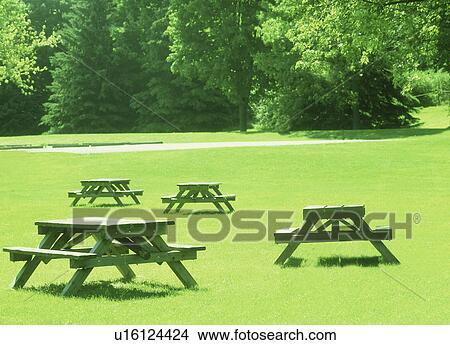 Picture - Scenic view of tables in a park. Fotosearch