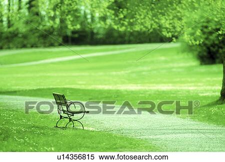 View of a park View Large Photo Image Stock Photography - View of a park. Fotosearch