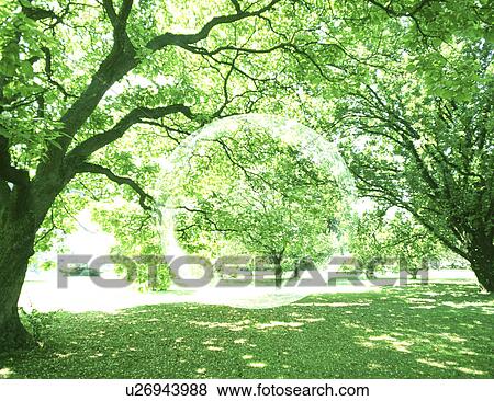 View of air bubble amid trees digital composite View Large Photo Image Stock Photo - View of air bubble amid trees digital composite. Fotosearch
