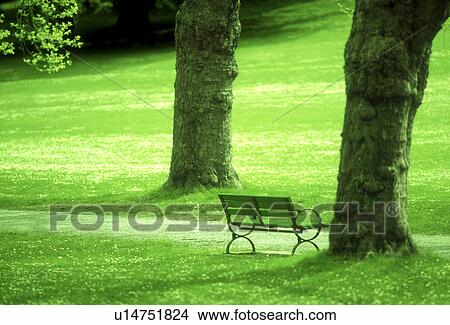 View of bench in a park View Large Photo Image Picture - View of bench in a park. Fotosearch