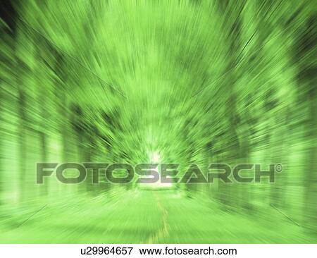View of trees View Large Photo Image Stock Photo - View of trees. Fotosearch