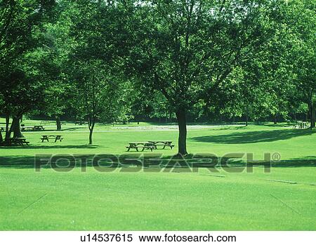 Wide area of grass with park benches View Large Photo Image Stock Photography - Wide area of grass with park benches. Fotosearch