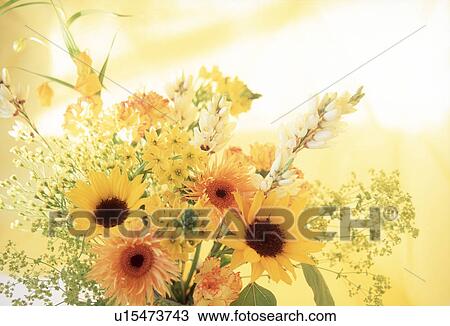 Stock Image - Close-up of a bunch of sunflowers. Fotosearch