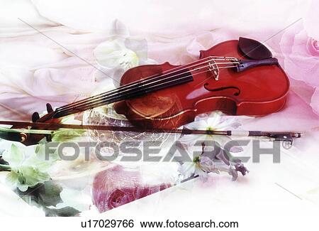 Close-up of a violin and flowers View Large Photo Image Stock Photograph - Close-up of a violin and flowers. Fotosearch