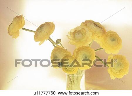 Stock Image - Close-up of flowers arranged in a vase. Fotosearch