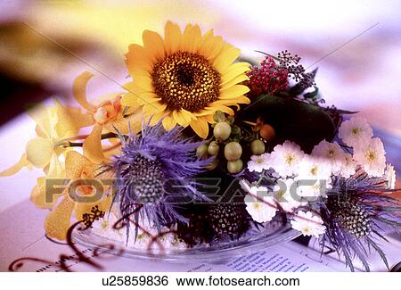 Stock Photograph - Close-up of flowers on a plate. Fotosearch
