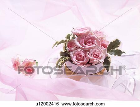 Stock Photograph - Close-up of pink roses.. Fotosearch