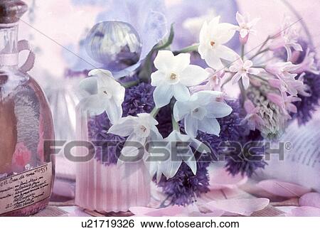 Close-up of white flowers View Large Photo Image Stock Photograph - Close-up of white flowers. Fotosearch