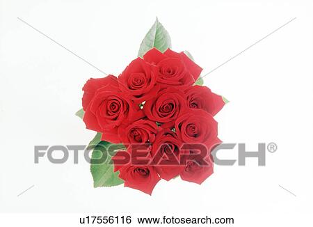 Stock Photograph - Top view of a bunch of beautiful roses.. Fotosearch