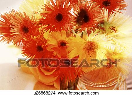 Picture - View of colorful flowers. Fotosearch