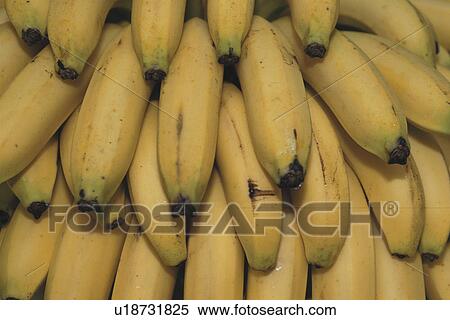 Banana View Large Photo Image Stock Photography - Banana. Fotosearch