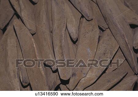 Dried Bonito View Large Photo Image Stock Image - Dried Bonito. Fotosearch
