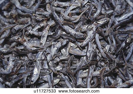 Dried Fish View Large Photo Image Stock Image - Dried Fish. Fotosearch