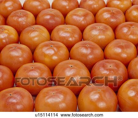 Persimmons View Large Photo Image Picture - Persimmons. Fotosearch