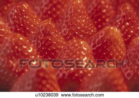 Strawberry View Large Photo Image Stock Photo - Strawberry. Fotosearch