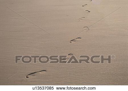 Stock Photography - The Footprint Of Sands. Fotosearch