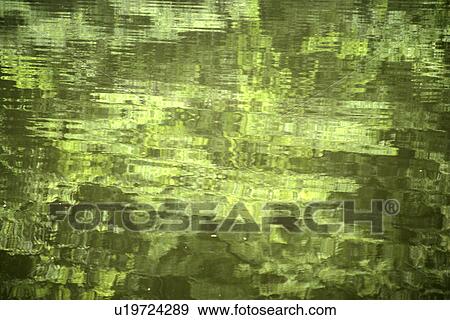 The Green Water Surface View Large Photo Image Stock Photo - The Green Water Surface. Fotosearch