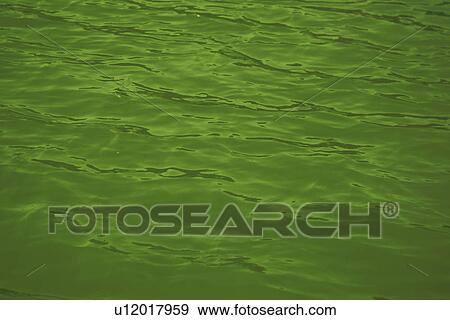 Stock Photo - Water Surface. Fotosearch