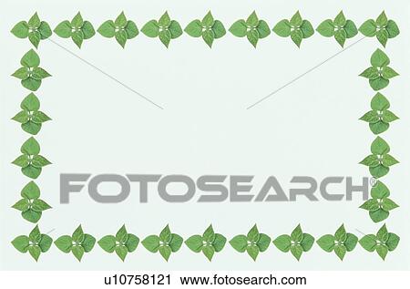 Stock Image - The Frame Of Green Leaves. Fotosearch
