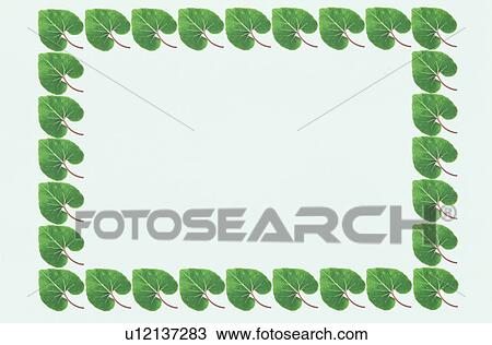Stock Image - The Frame Of Green Leaves. Fotosearch