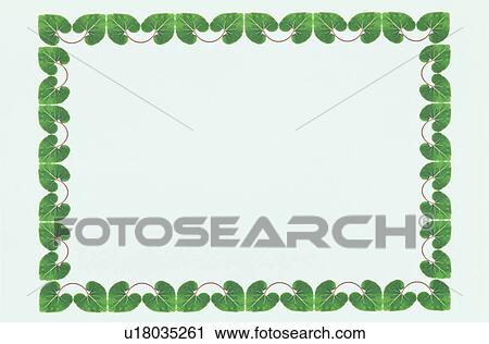 Stock Image - The Frame Of Green Leaves. Fotosearch