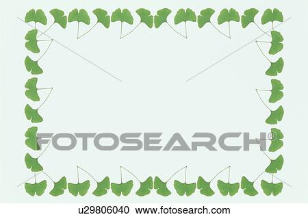 Stock Image - The Frame Of Green Leaves. Fotosearch