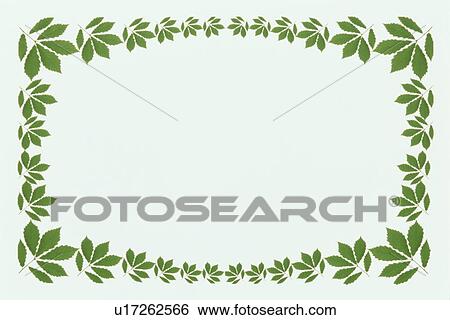 Stock Photograph - The Frame Of Green Leaves. Fotosearch