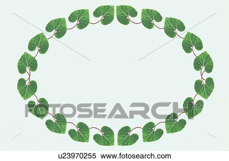 Stock Photography - The Oval Frame Of The Leaves. Fotosearch