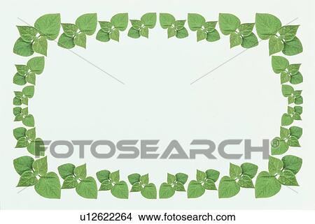 Picture - The Square Frame Of Green Leaves. Fotosearch