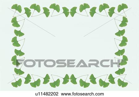 Stock Image - The Square Frame Of Green Leaves. Fotosearch