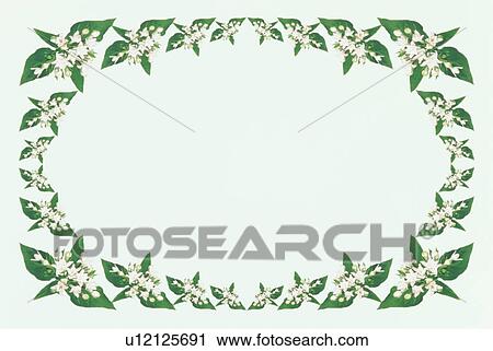 Stock Image - The Square Frame Of Green Leaves. Fotosearch