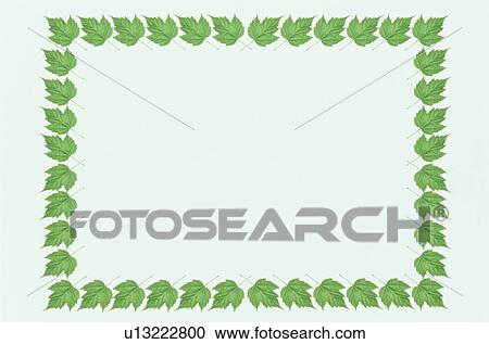 The Square Frame Of Green Leaves View Large Photo Image Stock Image - The Square Frame Of Green Leaves. Fotosearch