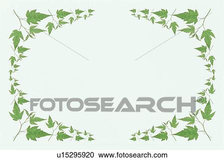 Stock Image - The Square Frame Of Green Leaves. Fotosearch