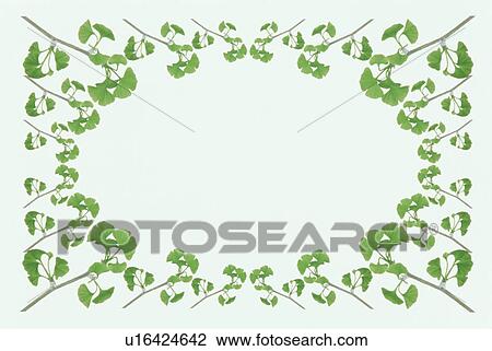 The Square Frame Of Green Leaves View Large Photo Image Stock Image - The Square Frame Of Green Leaves. Fotosearch