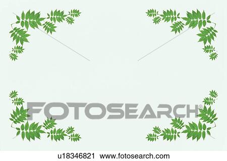 The Square Frame Of Green Leaves View Large Photo Image Stock Image - The Square Frame Of Green Leaves. Fotosearch