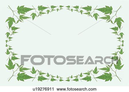 Stock Image - The Square Frame Of Green Leaves. Fotosearch