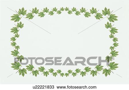 Stock Image - The Square Frame Of Green Leaves. Fotosearch