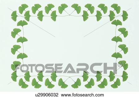 Stock Image - The Square Frame Of Green Leaves. Fotosearch