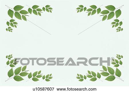 The Square Frame Of Green Leaves View Large Photo Image Stock Photo - The Square Frame Of Green Leaves. Fotosearch