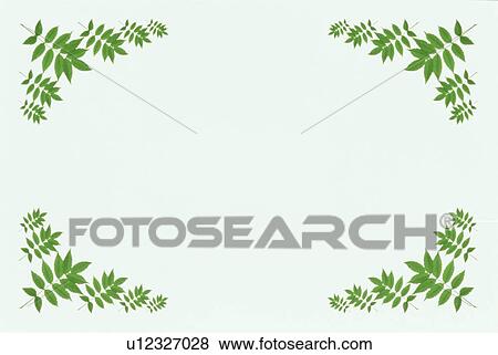 The Square Frame Of Green Leaves View Large Photo Image Stock Photo - The Square Frame Of Green Leaves. Fotosearch