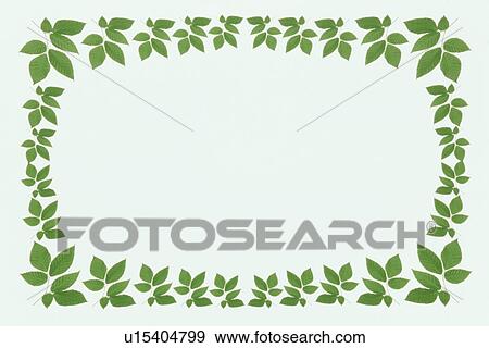 Stock Photo - The Square Frame Of Green Leaves. Fotosearch