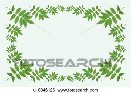 The Square Frame Of Green Leaves View Large Photo Image Stock Photograph - The Square Frame Of Green Leaves. Fotosearch