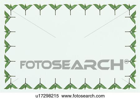 The Square Frame Of Green Leaves View Large Photo Image Stock Photography - The Square Frame Of Green Leaves. Fotosearch