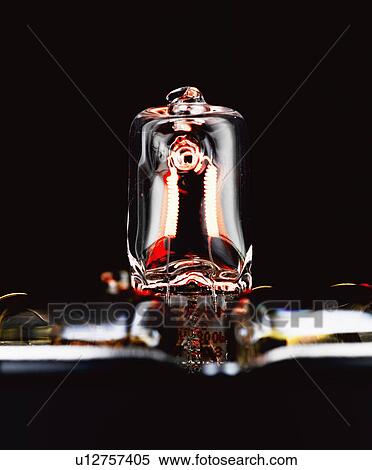 Stock Photography - Bulb (close-up). Fotosearch