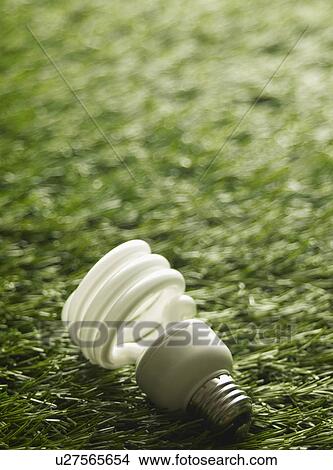 Picture - Energy Saving Lifebulb on Grass. Fotosearch